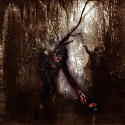 Top 5 Opeth Albums